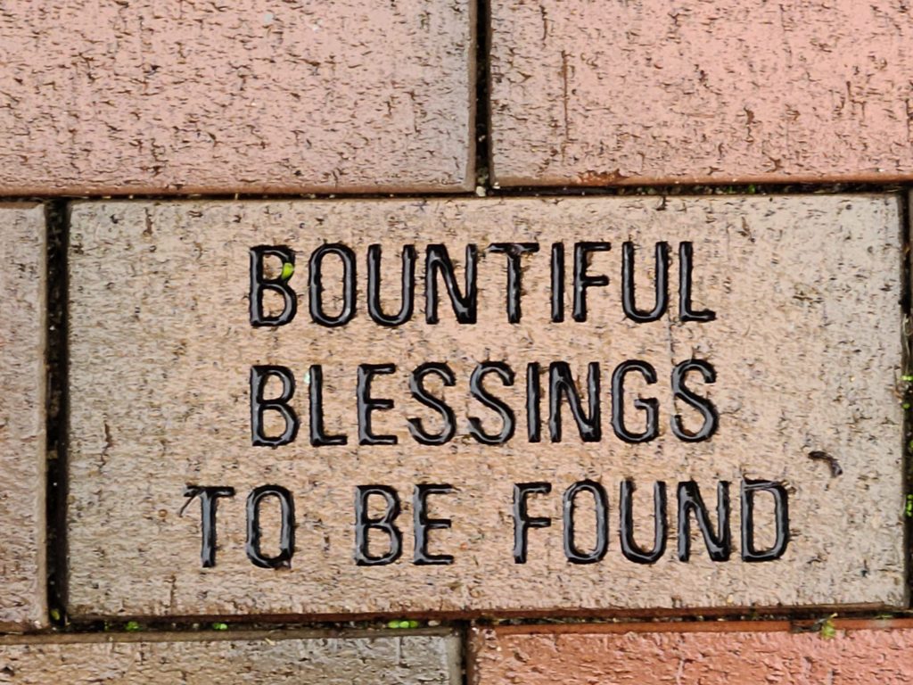 Blessings for Bountiful Fundraising Campaign: June 3, 2021 UPDATE